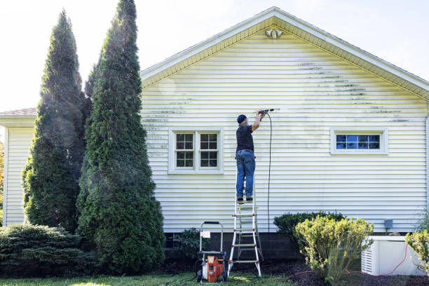Best Roof Washing  in Watchung, NJ